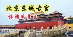 美女狂艹视频日本中国北京-东城古宫旅游风景区